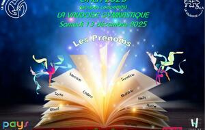 Vidéos Gala 2025 groupes compétitions