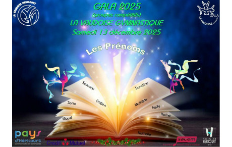 Vidéos Gala 2025 groupes compétitions